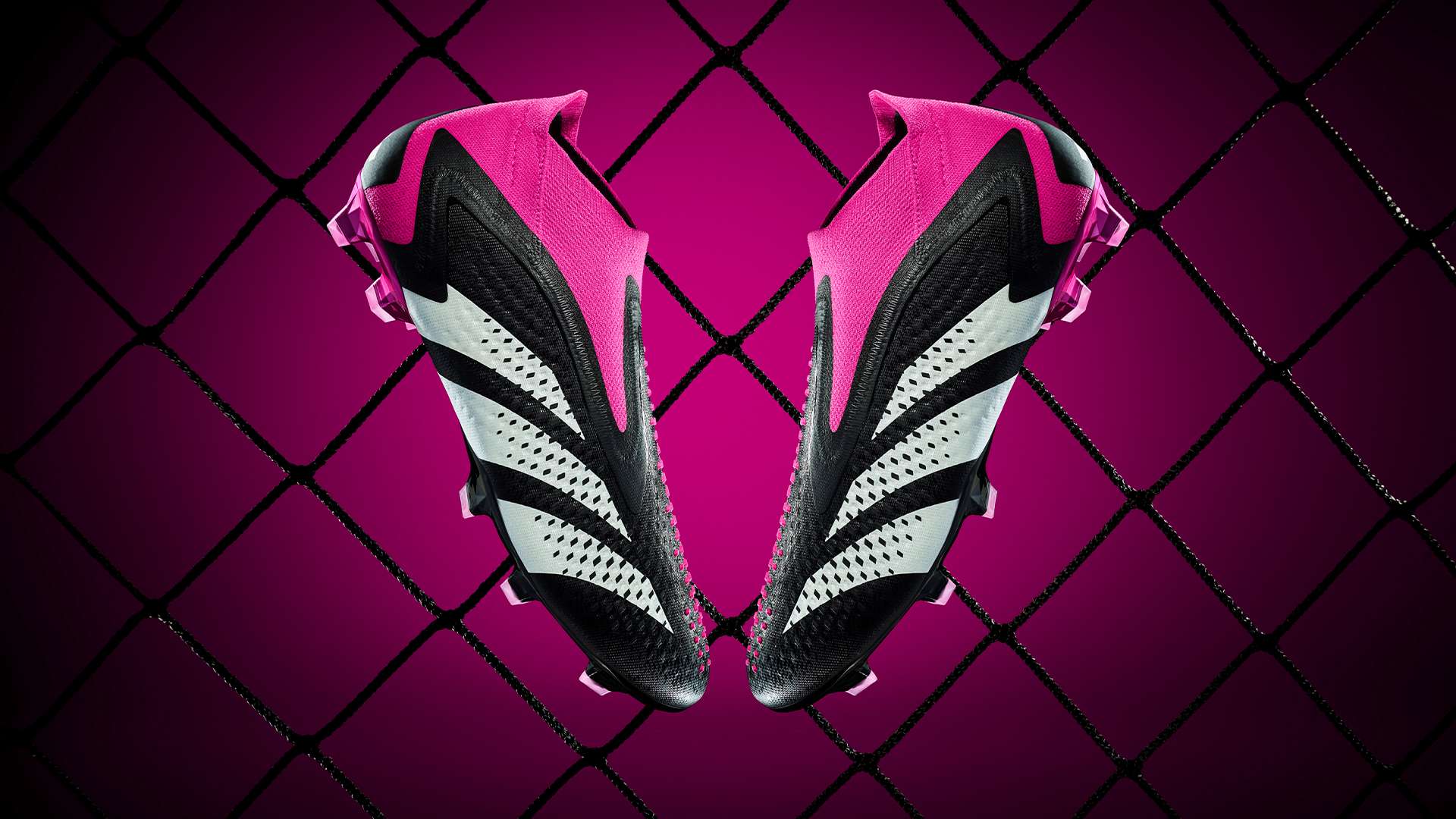 首的希望 首的希望